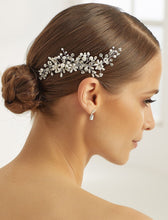 Laden Sie das Bild in den Galerie-Viewer, Haarschmuck B 393
